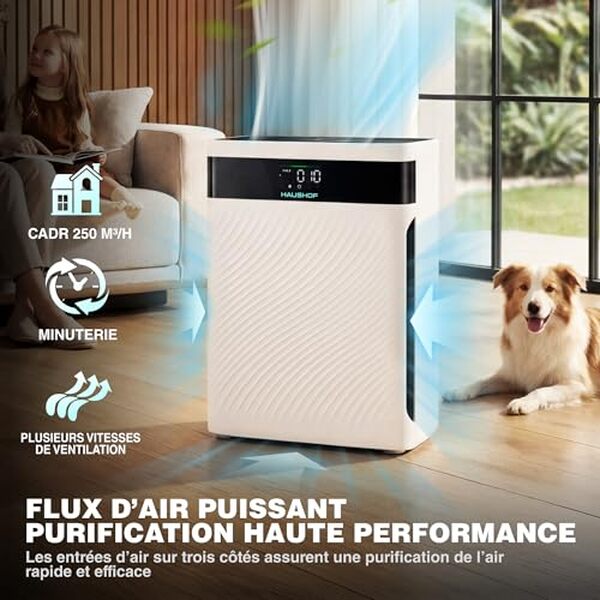 Découvrez notre avis sur le purificateur Haushof HEPA H13 et ses atouts pour purifier l'air tout en parfumant votre intérieur grâce à l'aromathérapie