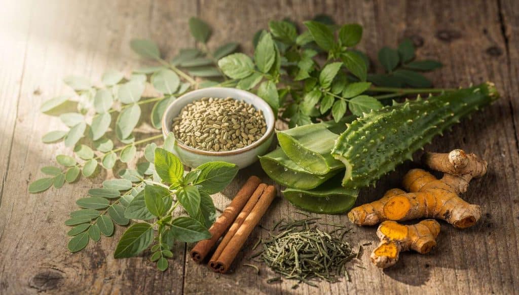 Plantes pour le diabète de type 2 : quelles solutions naturelles ?