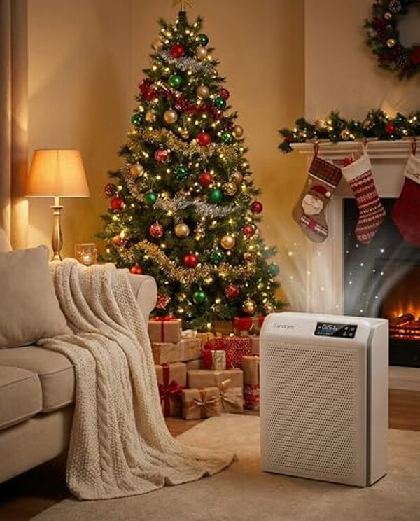 Découvrez notre test détaillé du purificateur d'air ioniseur HEPA connecté WiFi : performances, efficacité et connectivité pour un air pur chez vous.