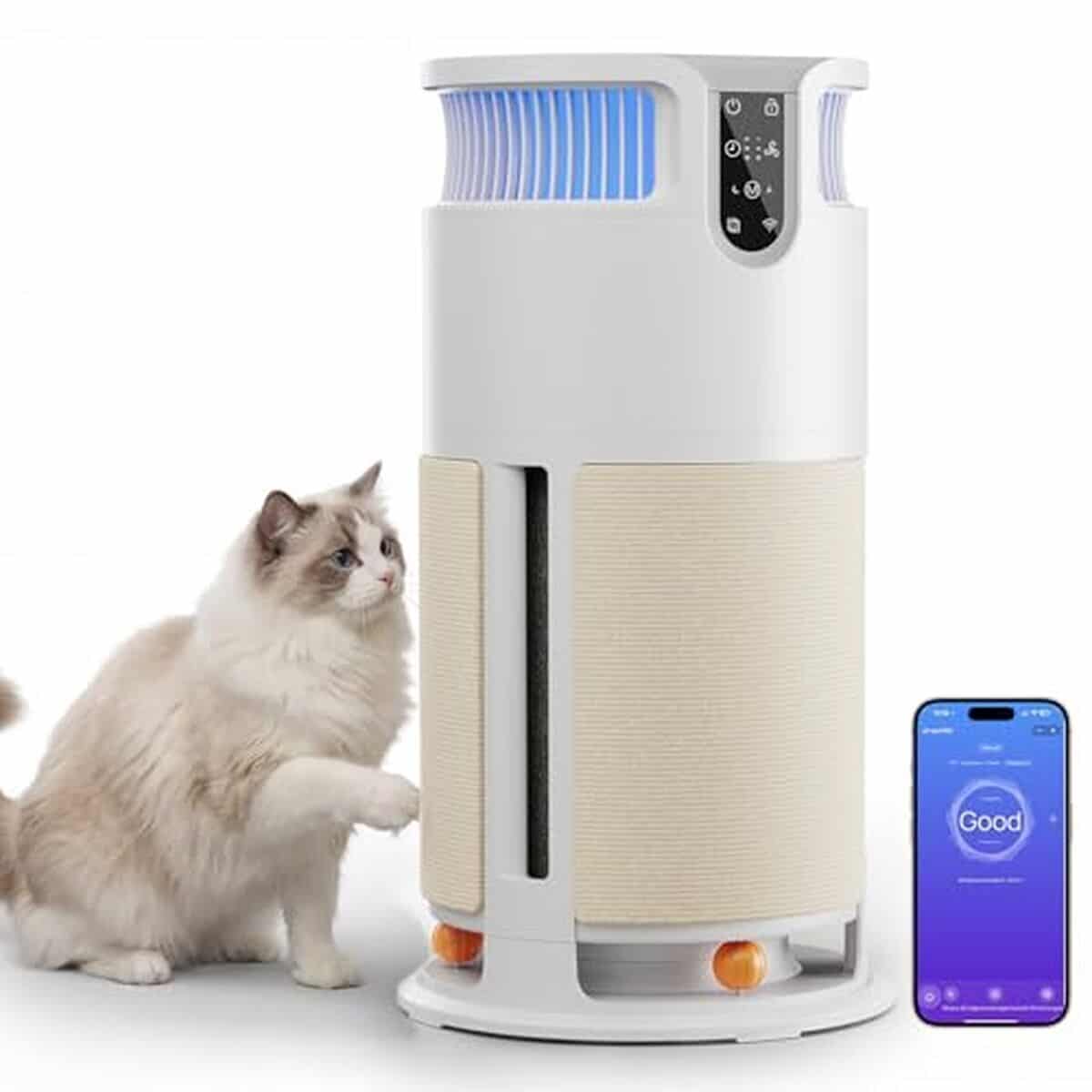 Test : purificateur d'air intelligent JUMMICO pour animaux