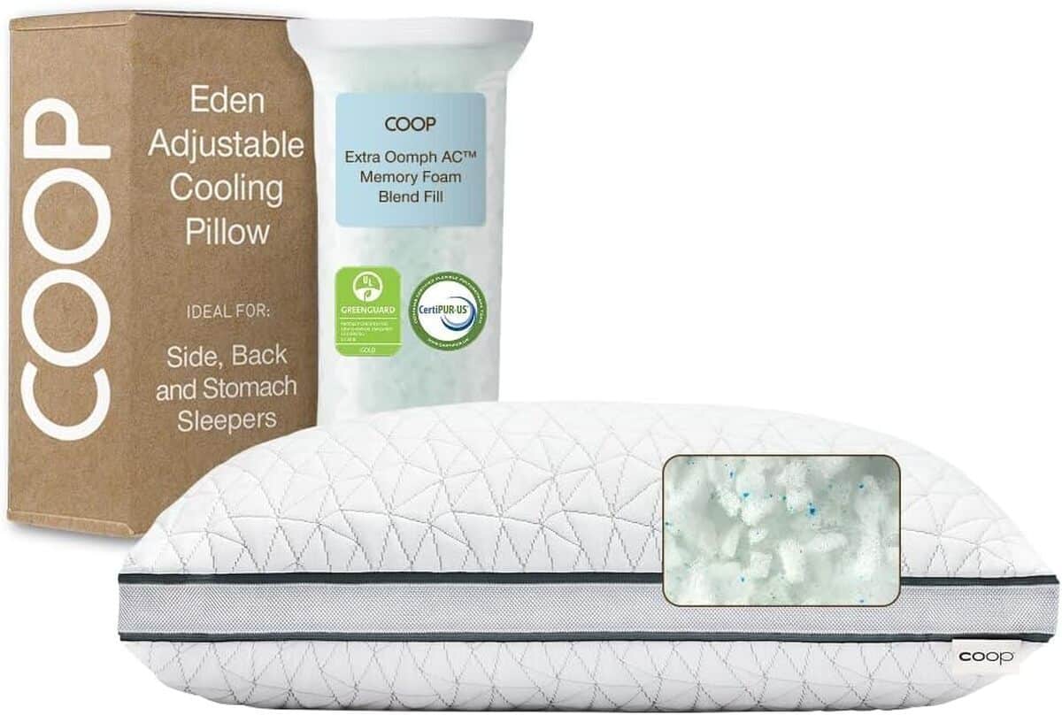 Test du coussin The Eden Pillow : confort rafraîchissant par Coop Home Goods